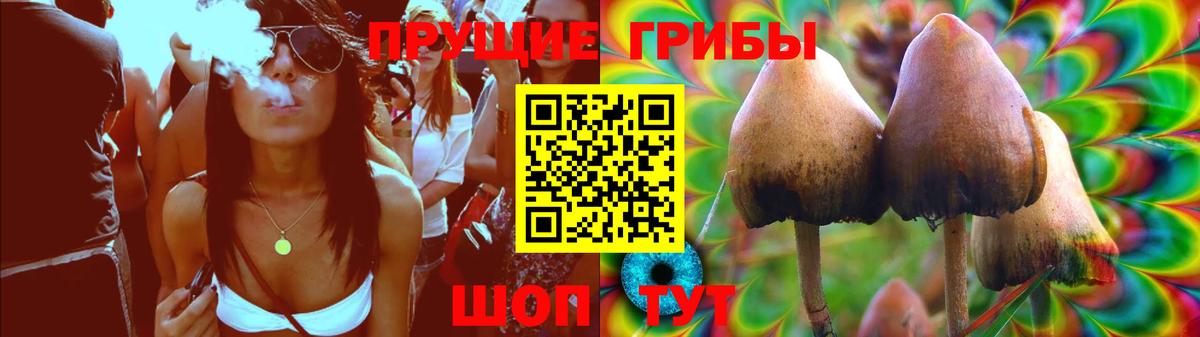 как найти закладки  Вход с VPN  Назрань  Псилоцибиновые грибы Psilocybine cubensis 